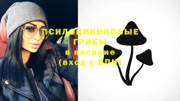 спайс Карпинск