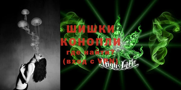 спайс Карпинск