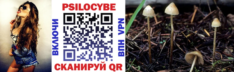 Псилоцибиновые грибы Psilocybe  Купить где  Карабаново 